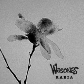 Rabia - Wasones